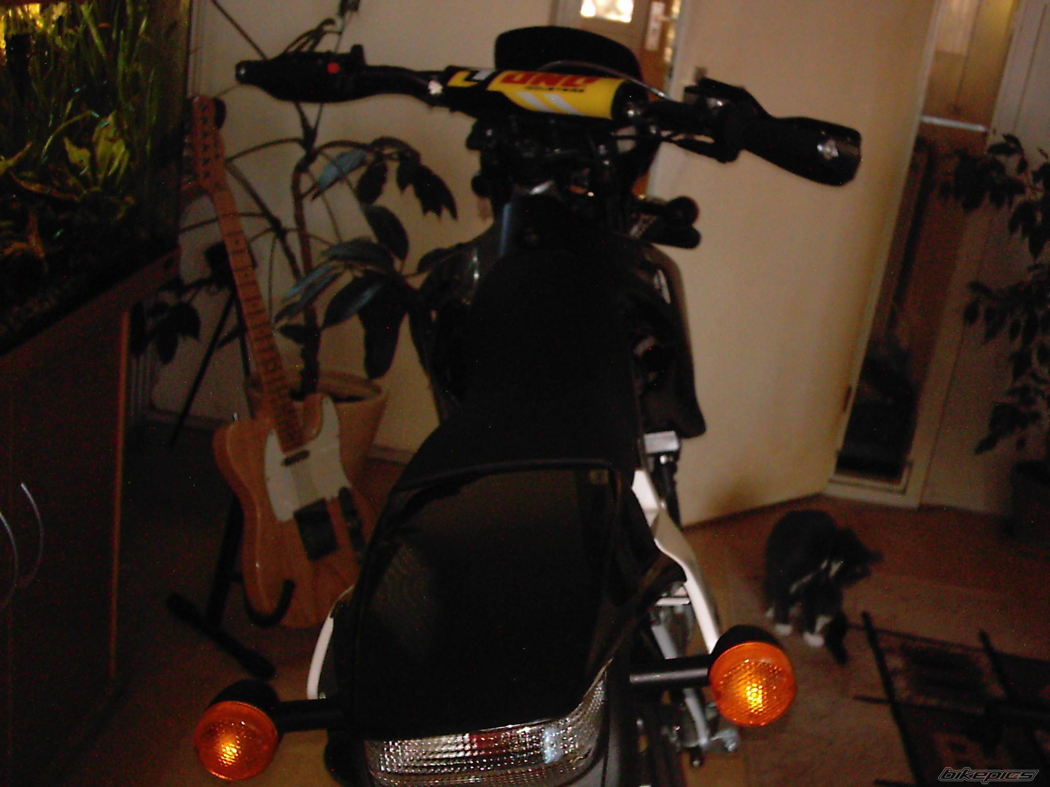 Photo 449420