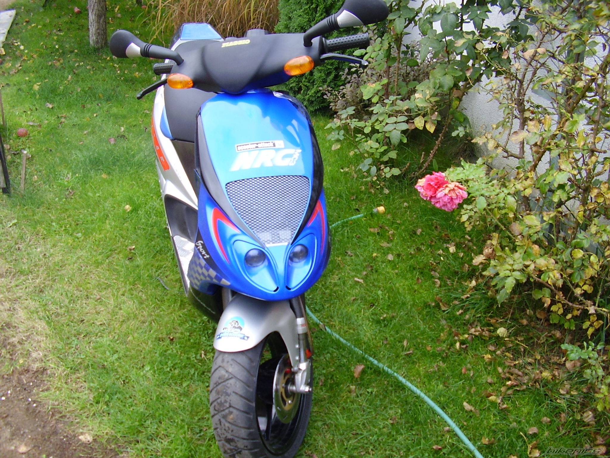 Photo 449431