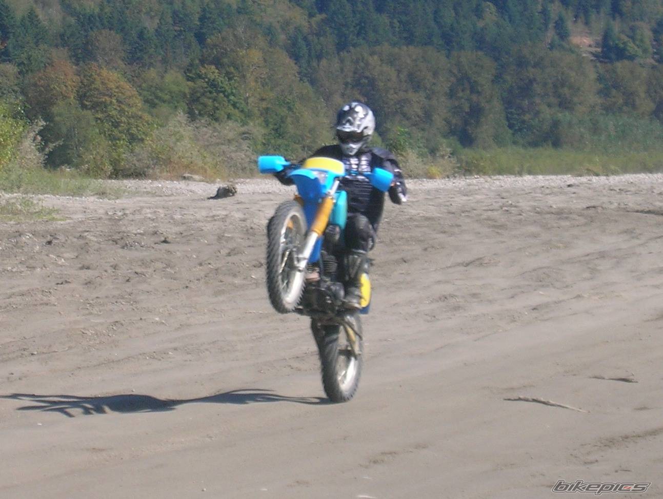 Photo 449445