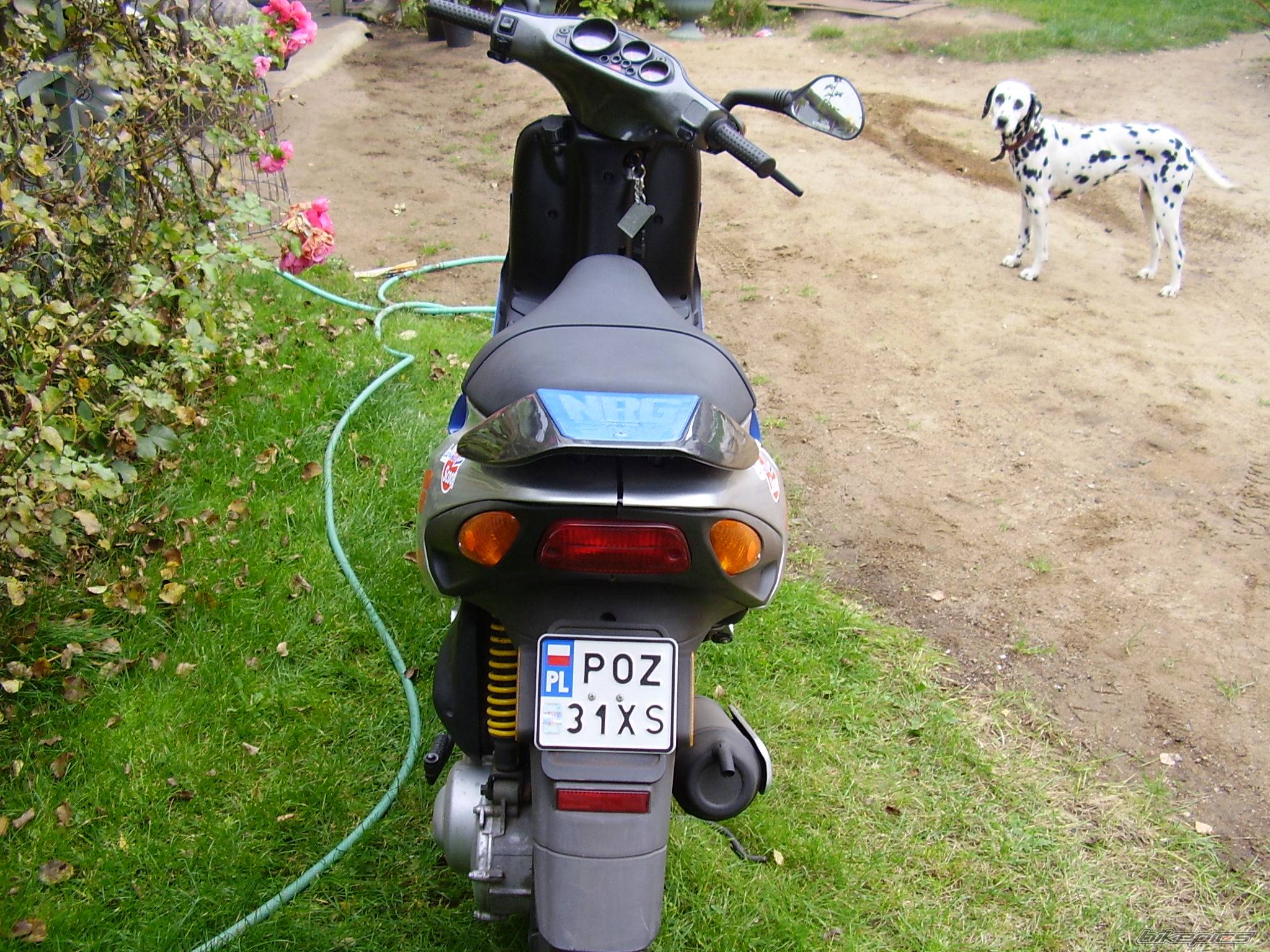 Photo 449452