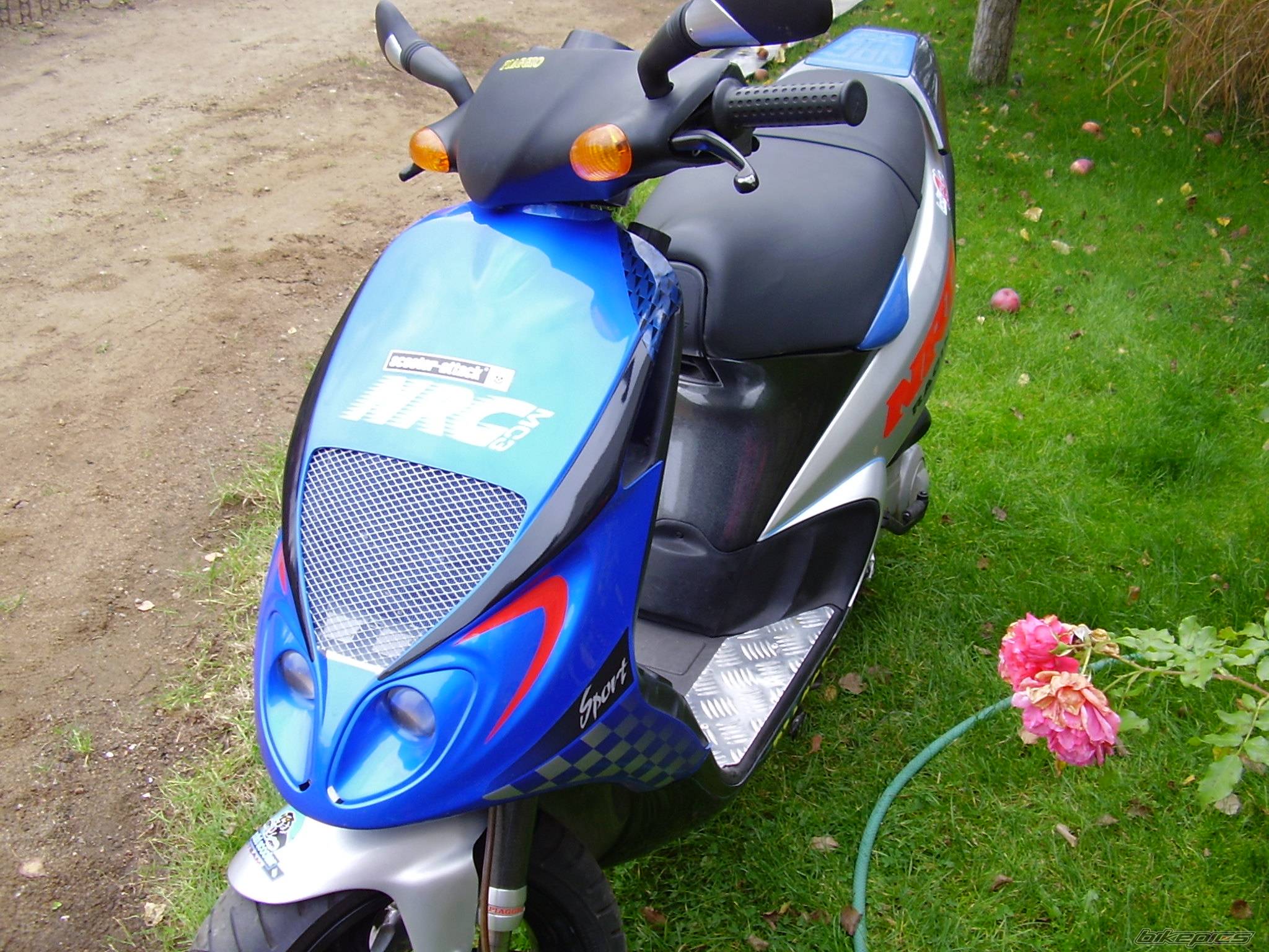 Photo 449462