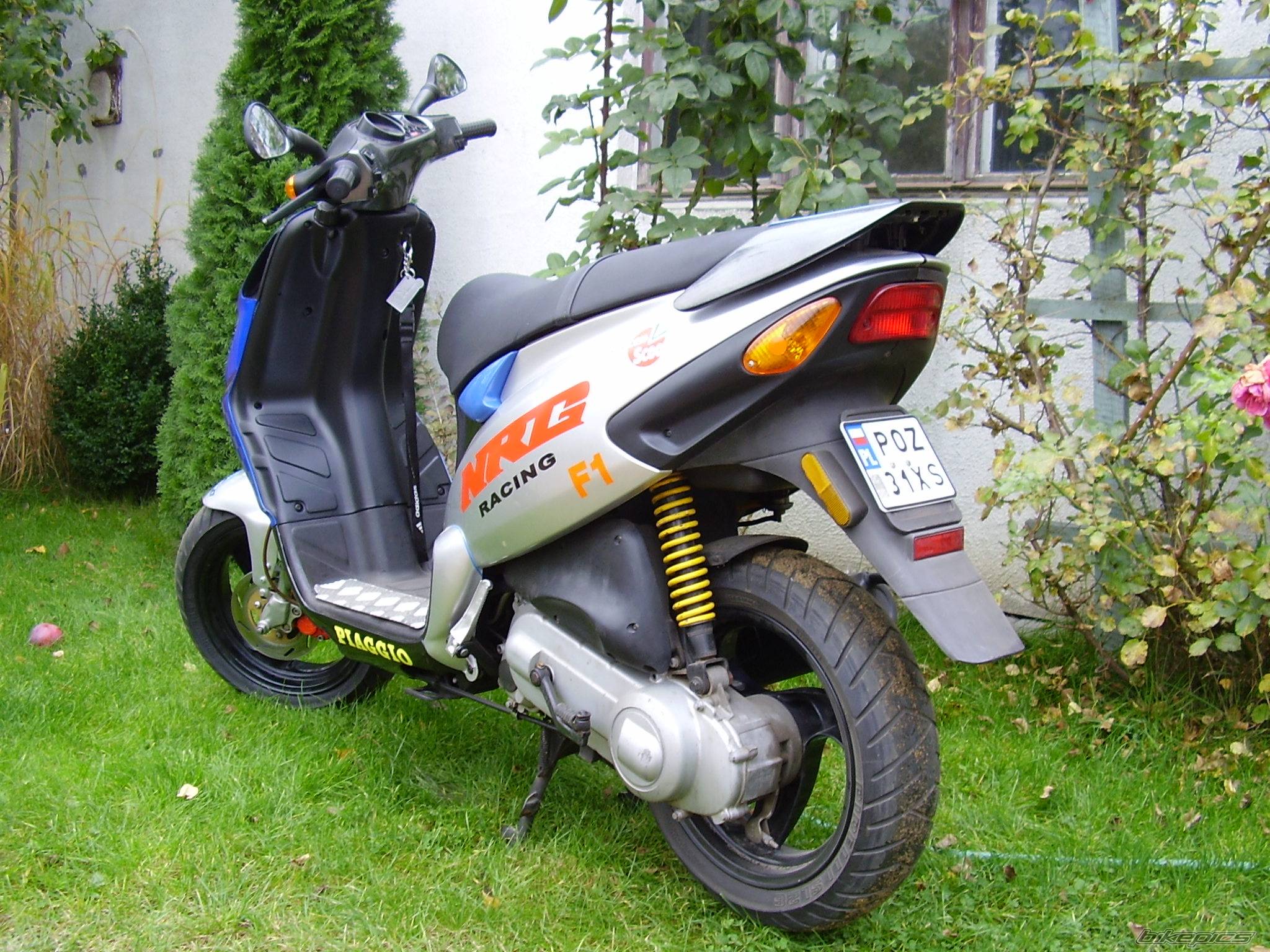 Photo 449464