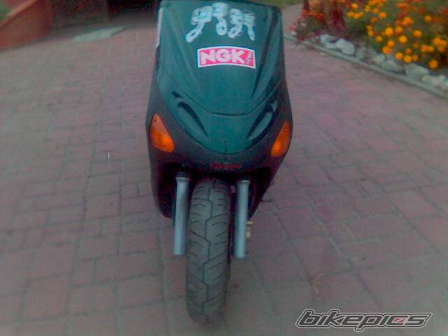 Photo 449492
