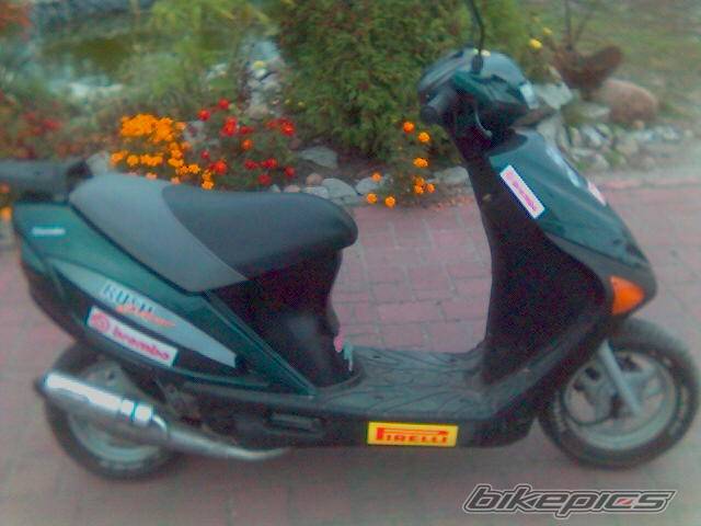 Photo 449495
