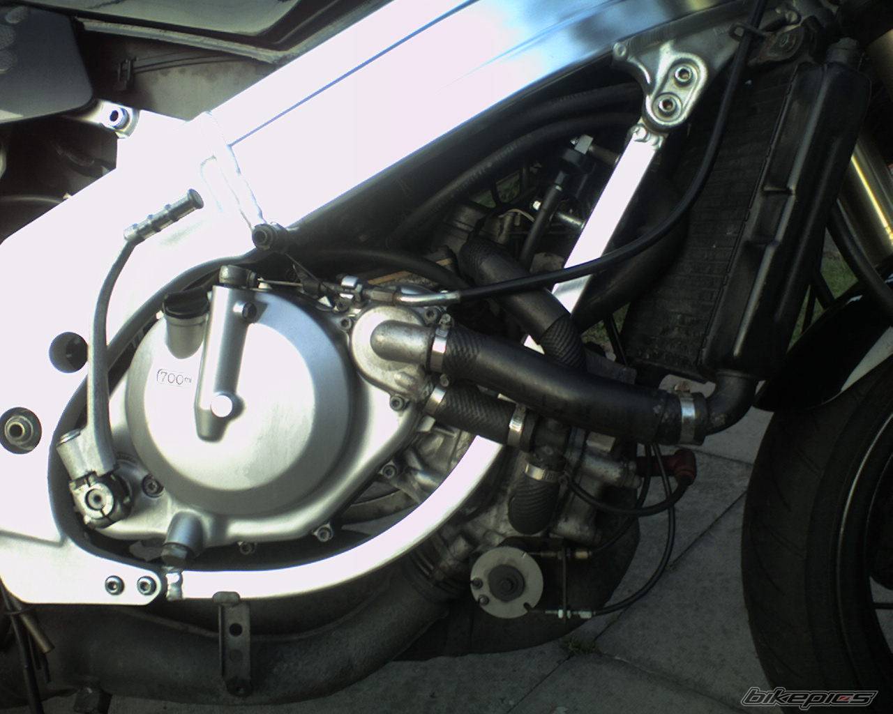 Bike Photo 449508