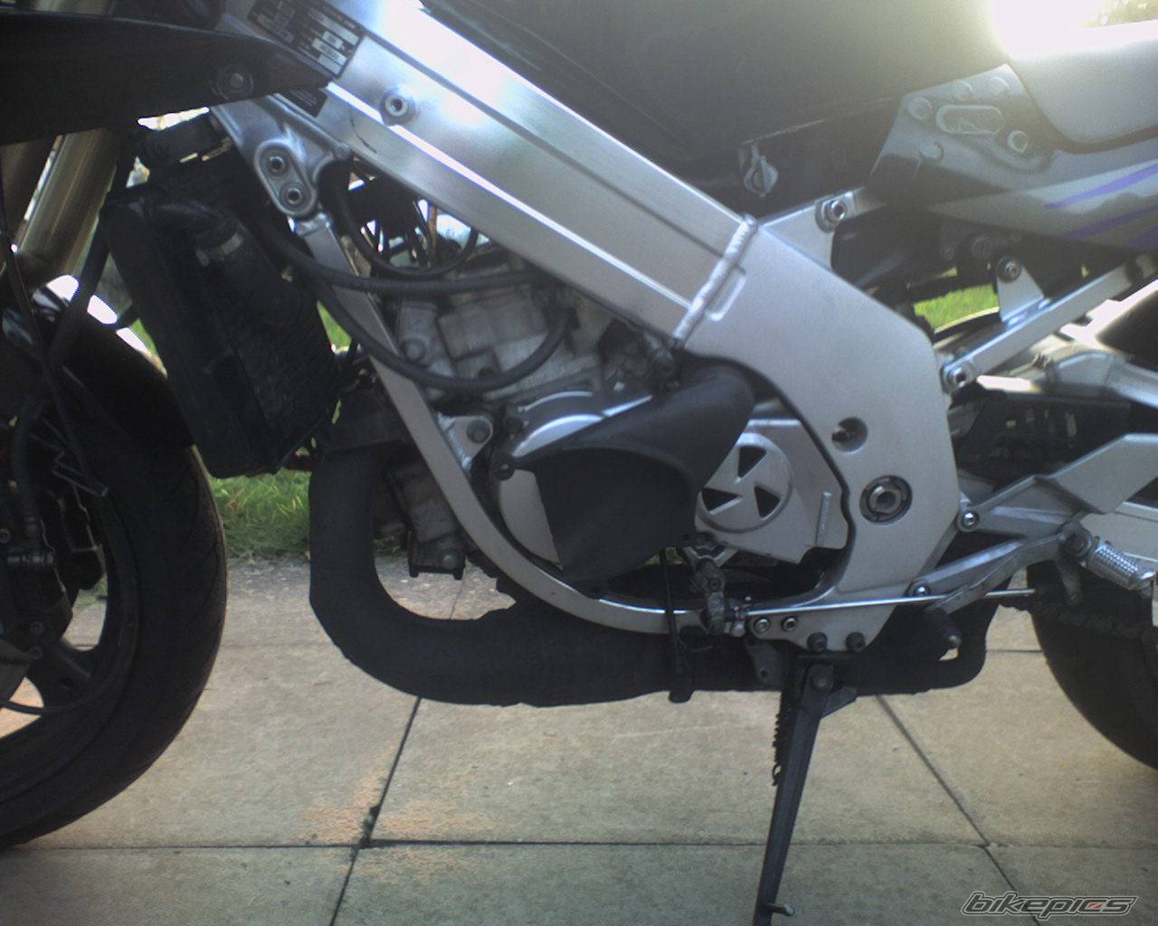 Bike Photo 449513