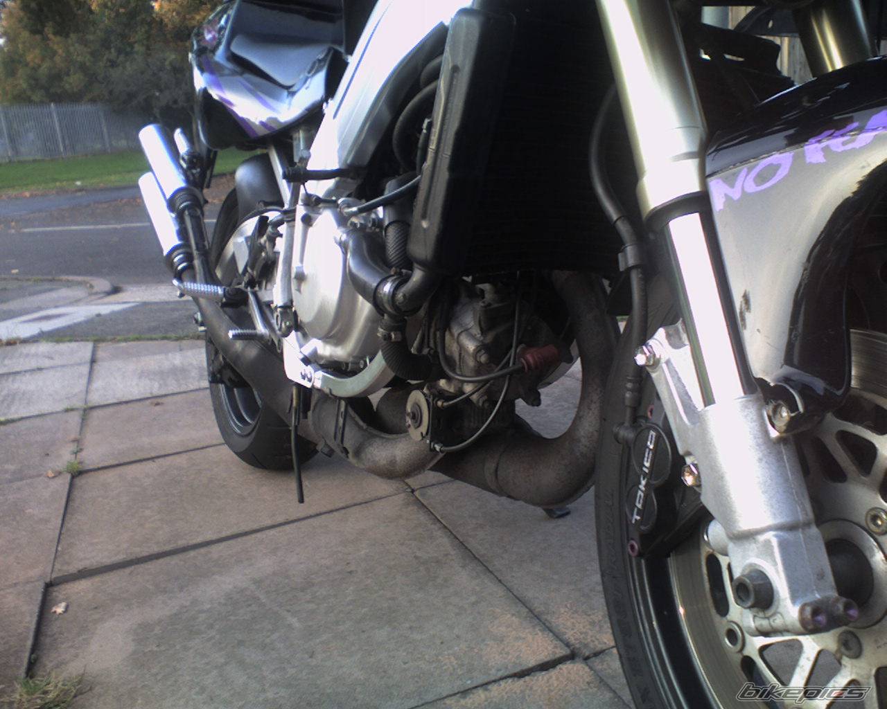 Bike Photo 449515