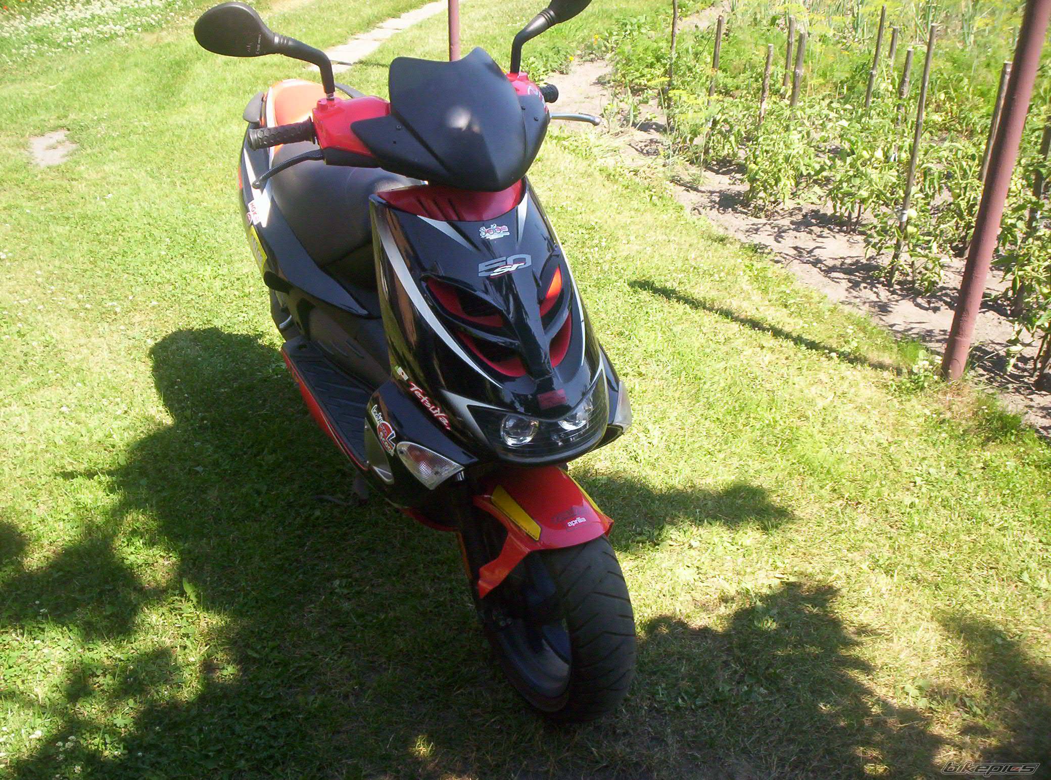 Bike Photo 449536