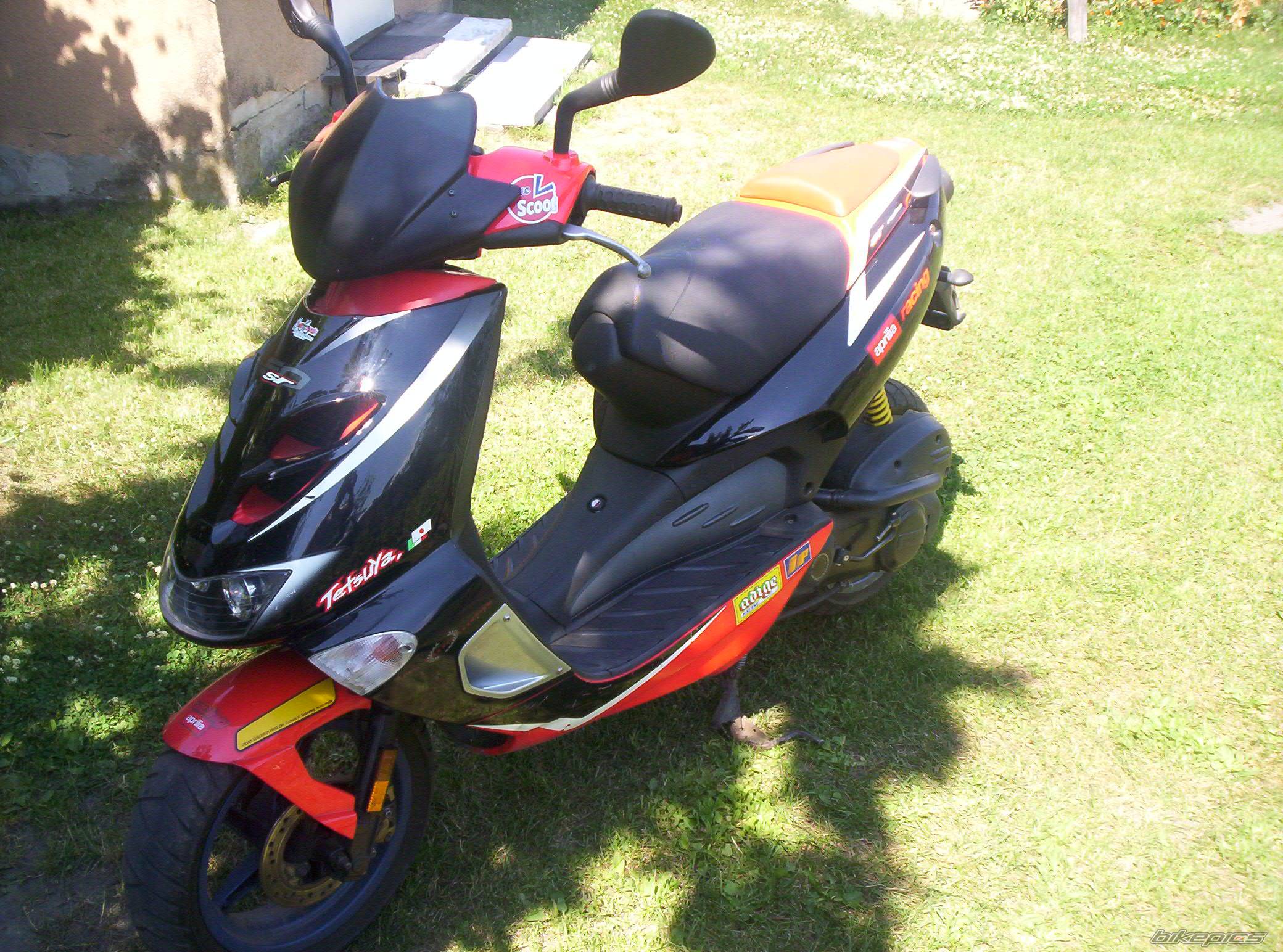 Bike Photo 449537