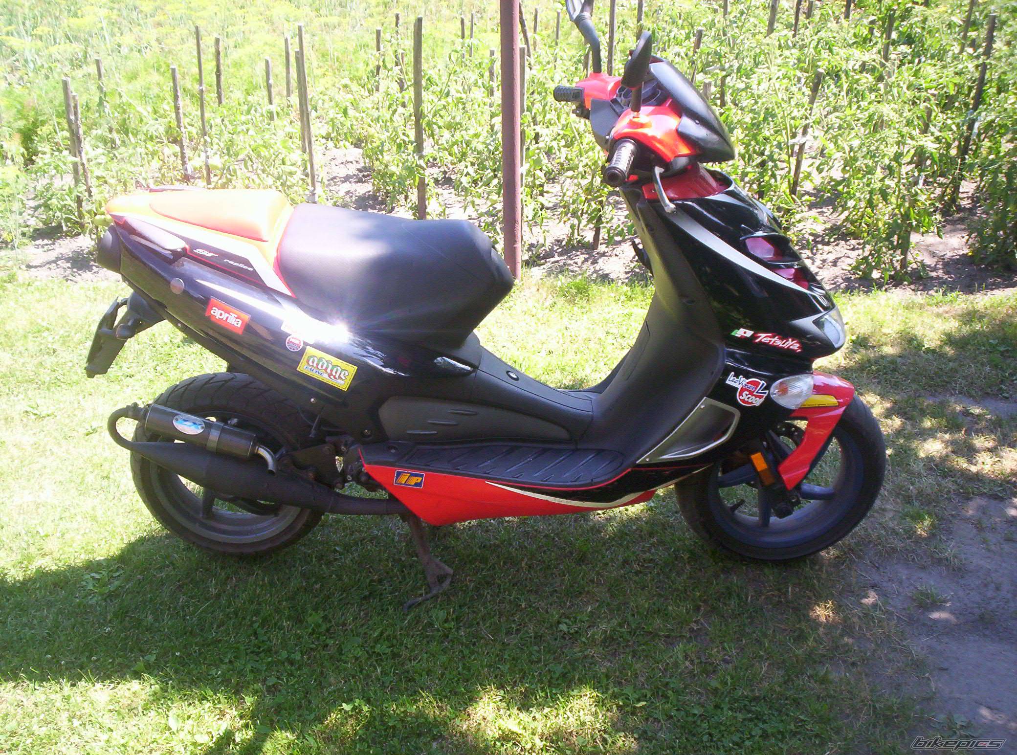 Bike Photo 449556