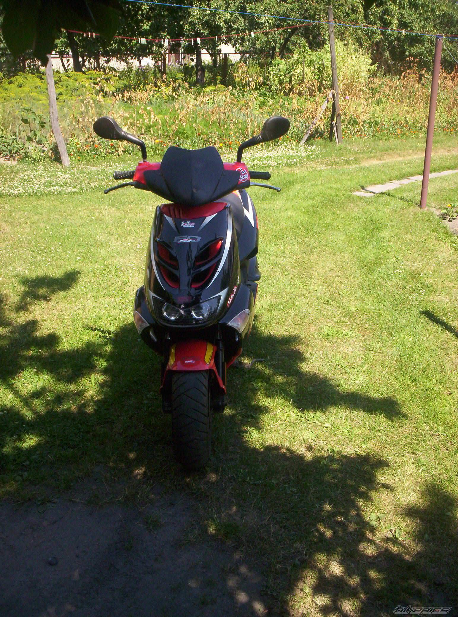 Bike Photo 449560