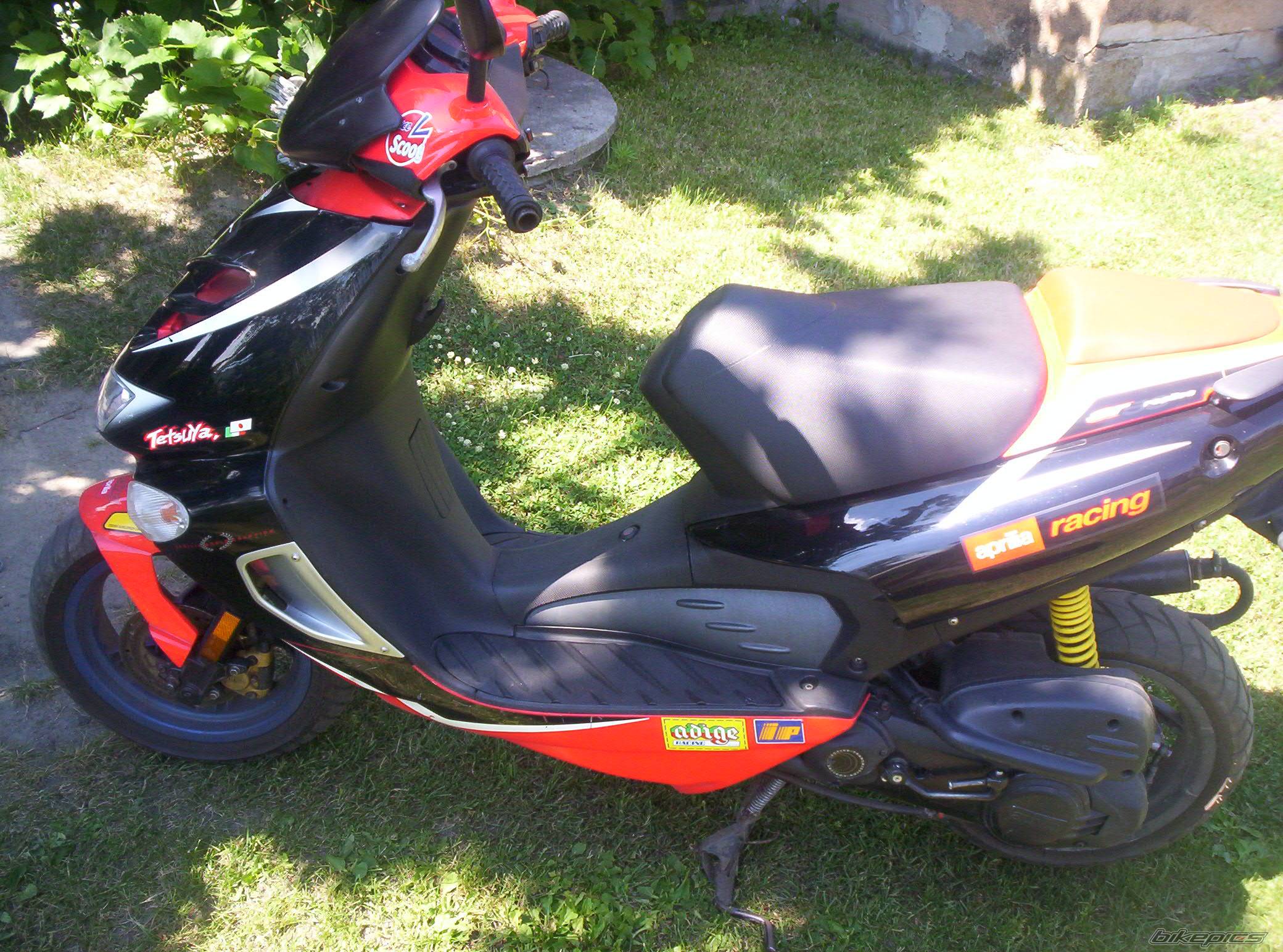 Bike Photo 449563