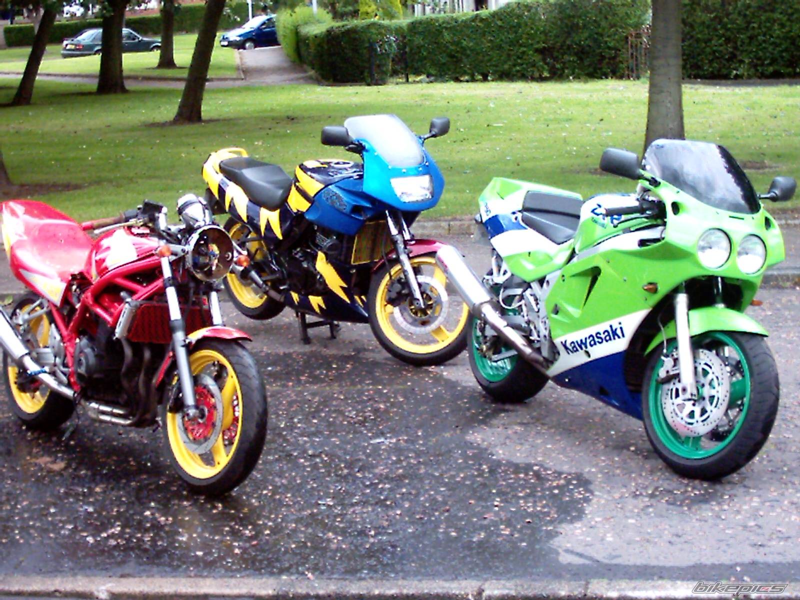 Photo 449649