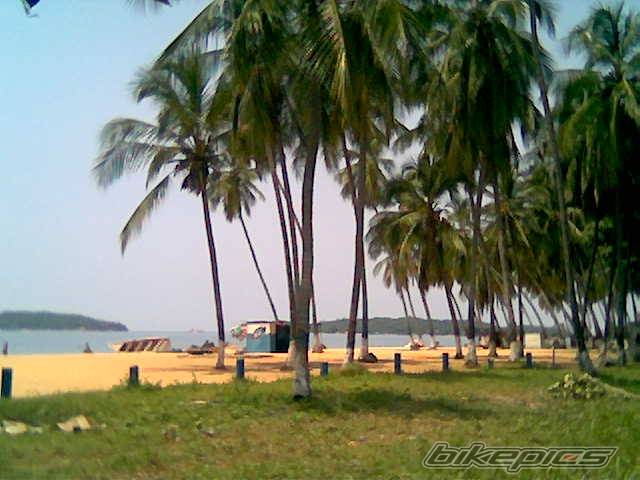 Photo 449693