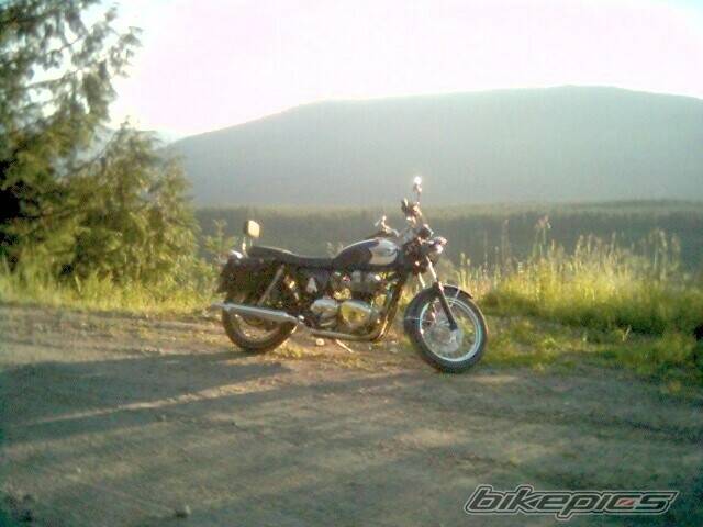 Photo 449789