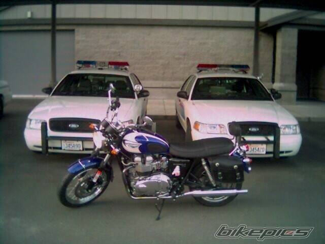 Photo 449790