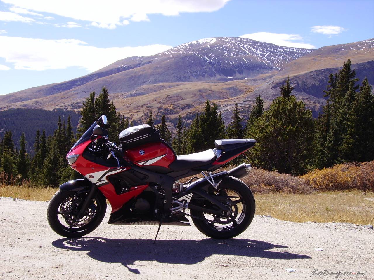 Bike Photo 449880