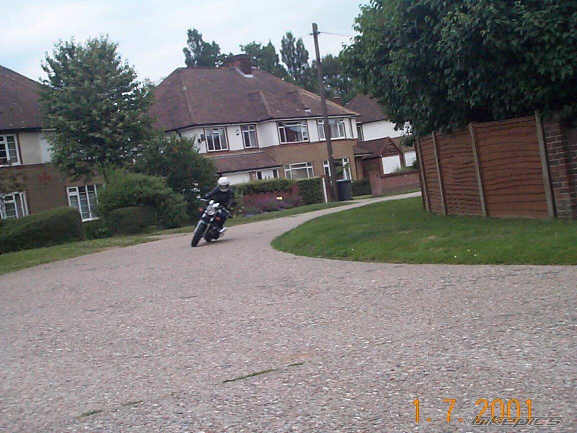 Photo 4499