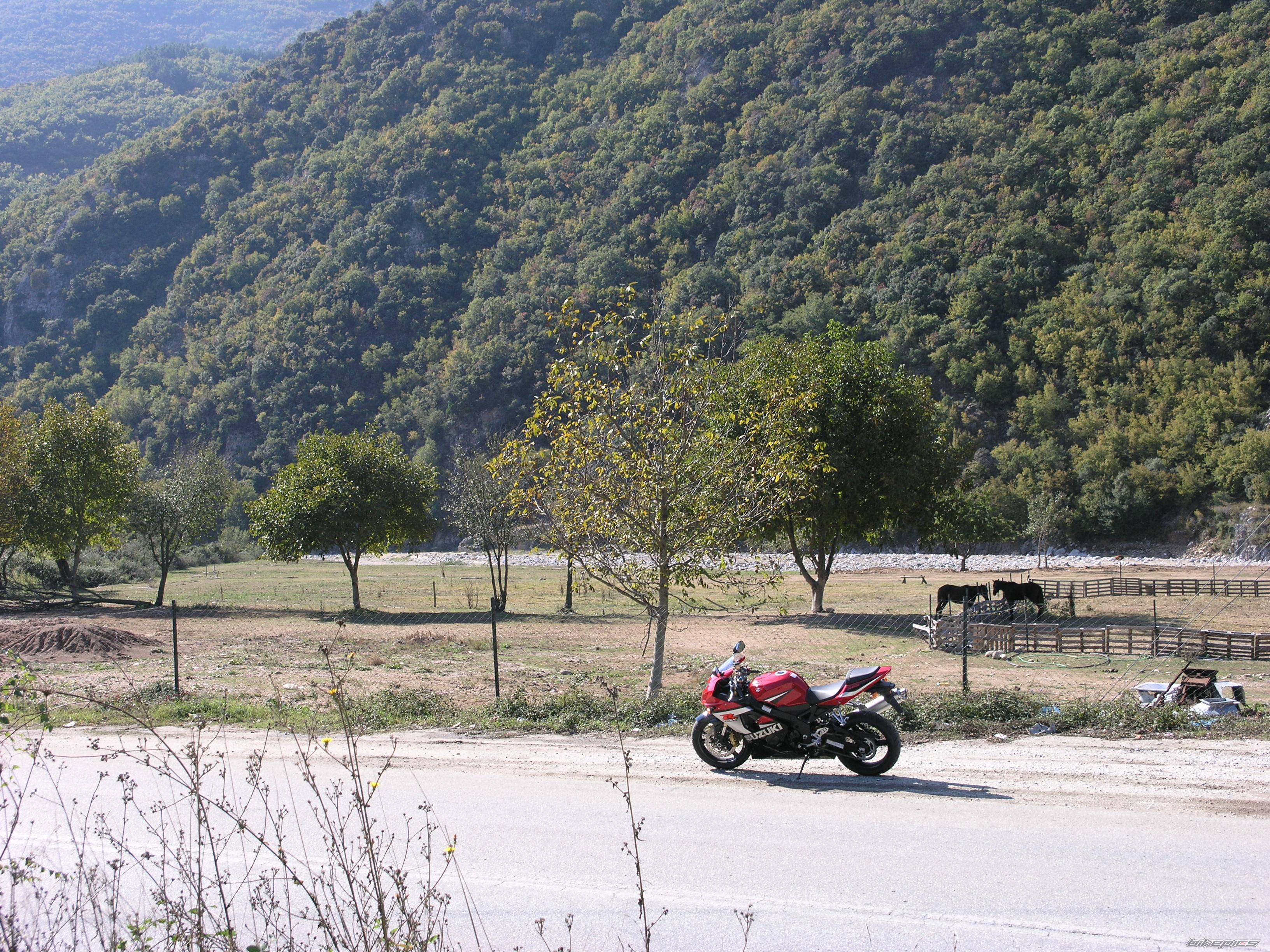 Bike Photo 449906
