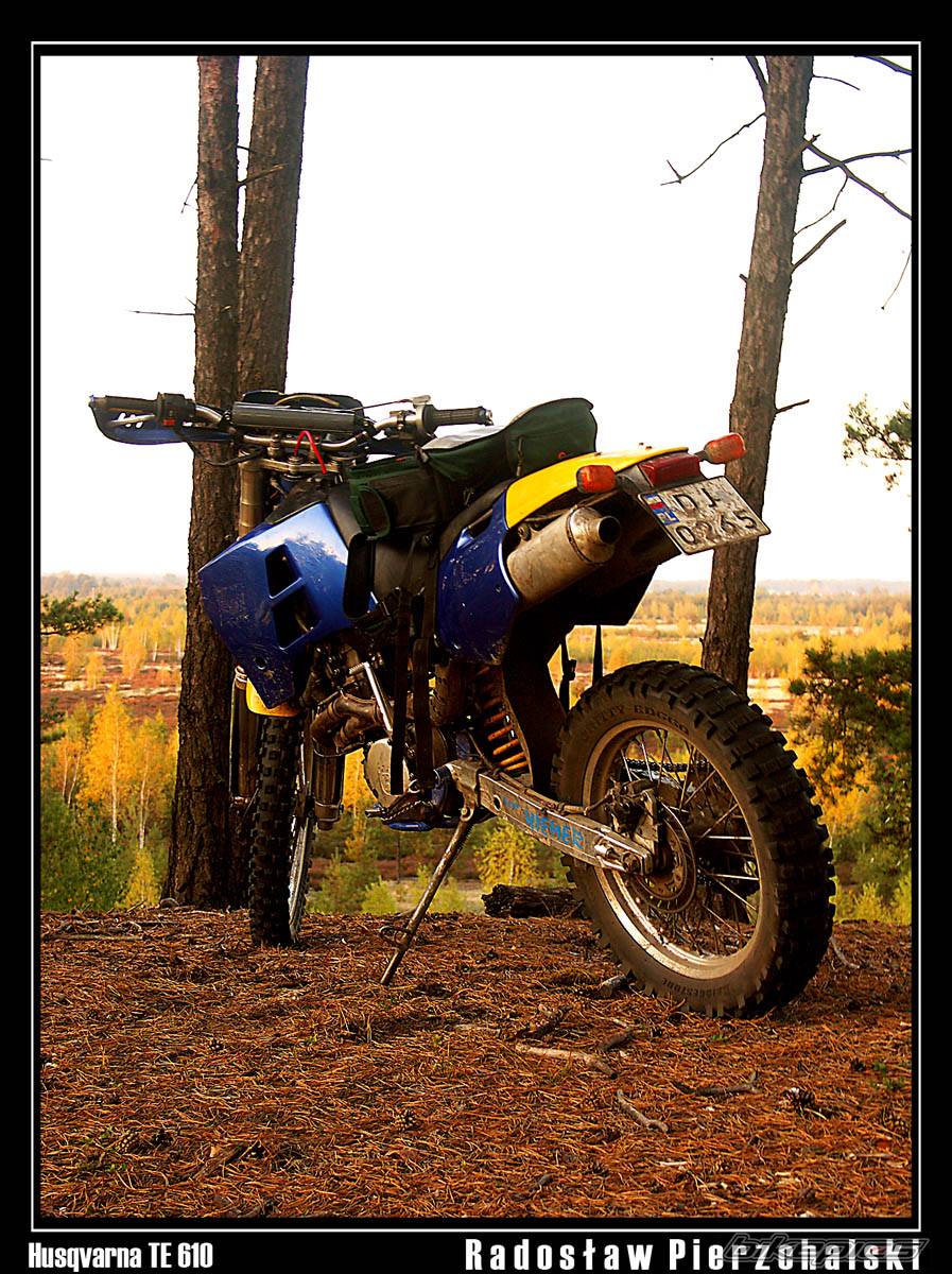 Photo 449932