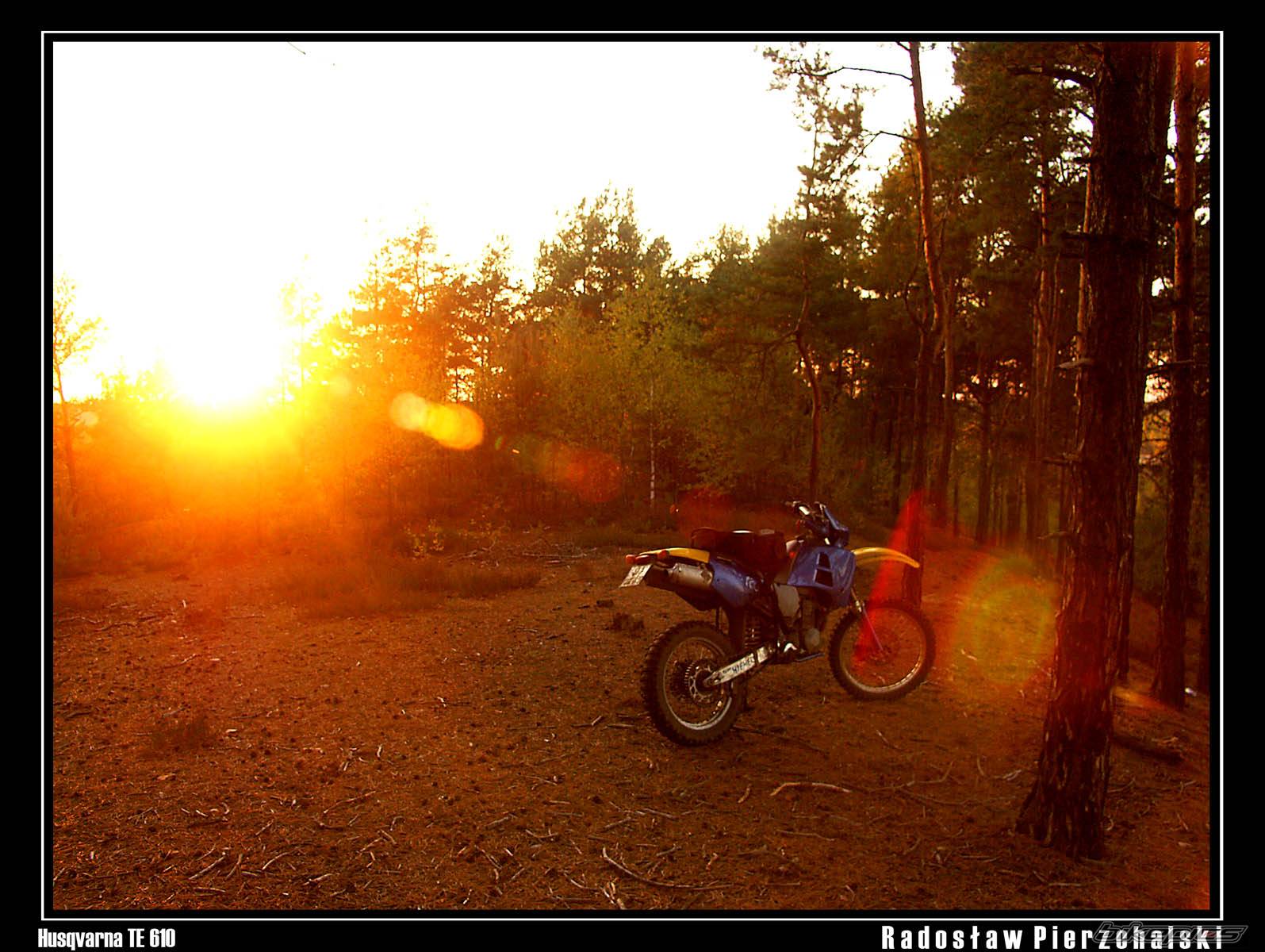 Photo 449935