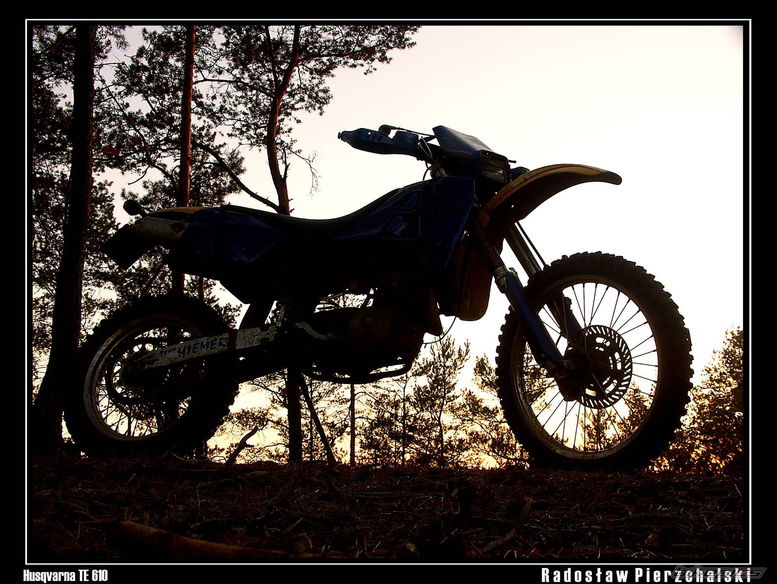 Photo 449939