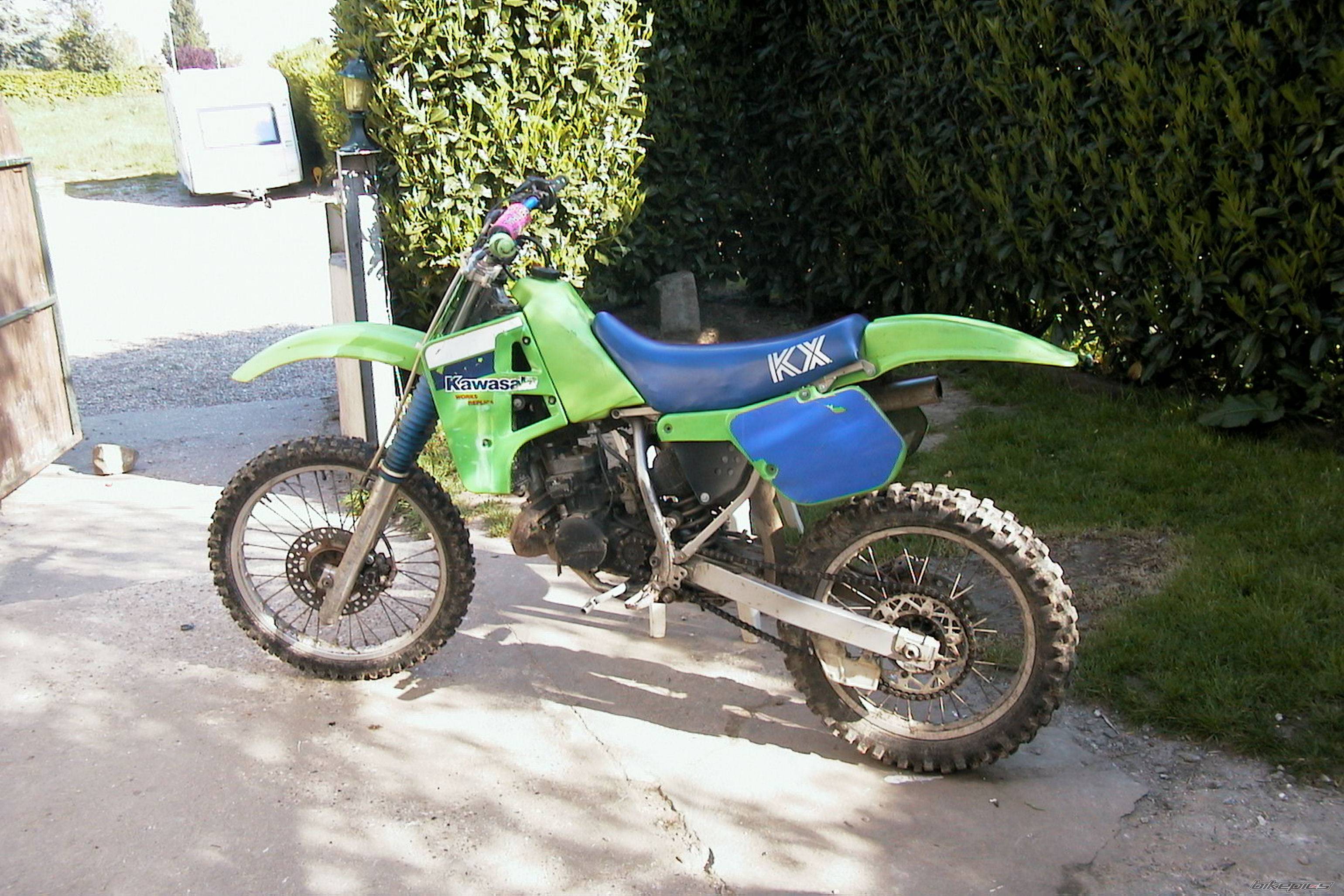 Photo 449985