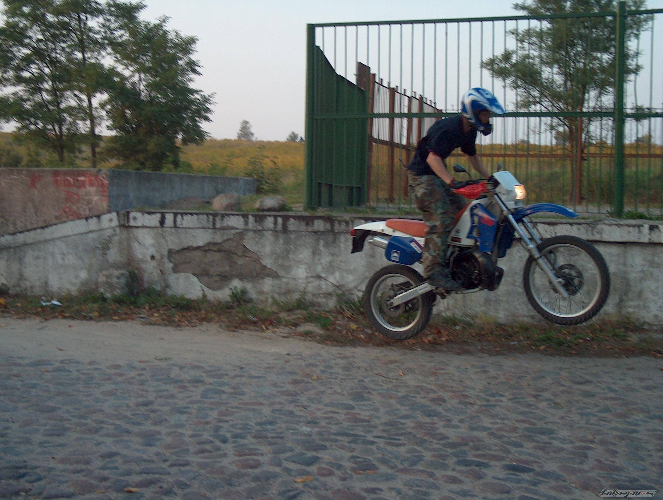 Photo 450012