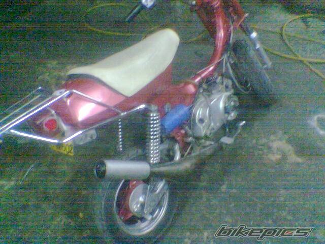 Photo 450039
