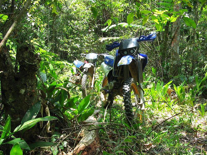 Bike Photo 450052