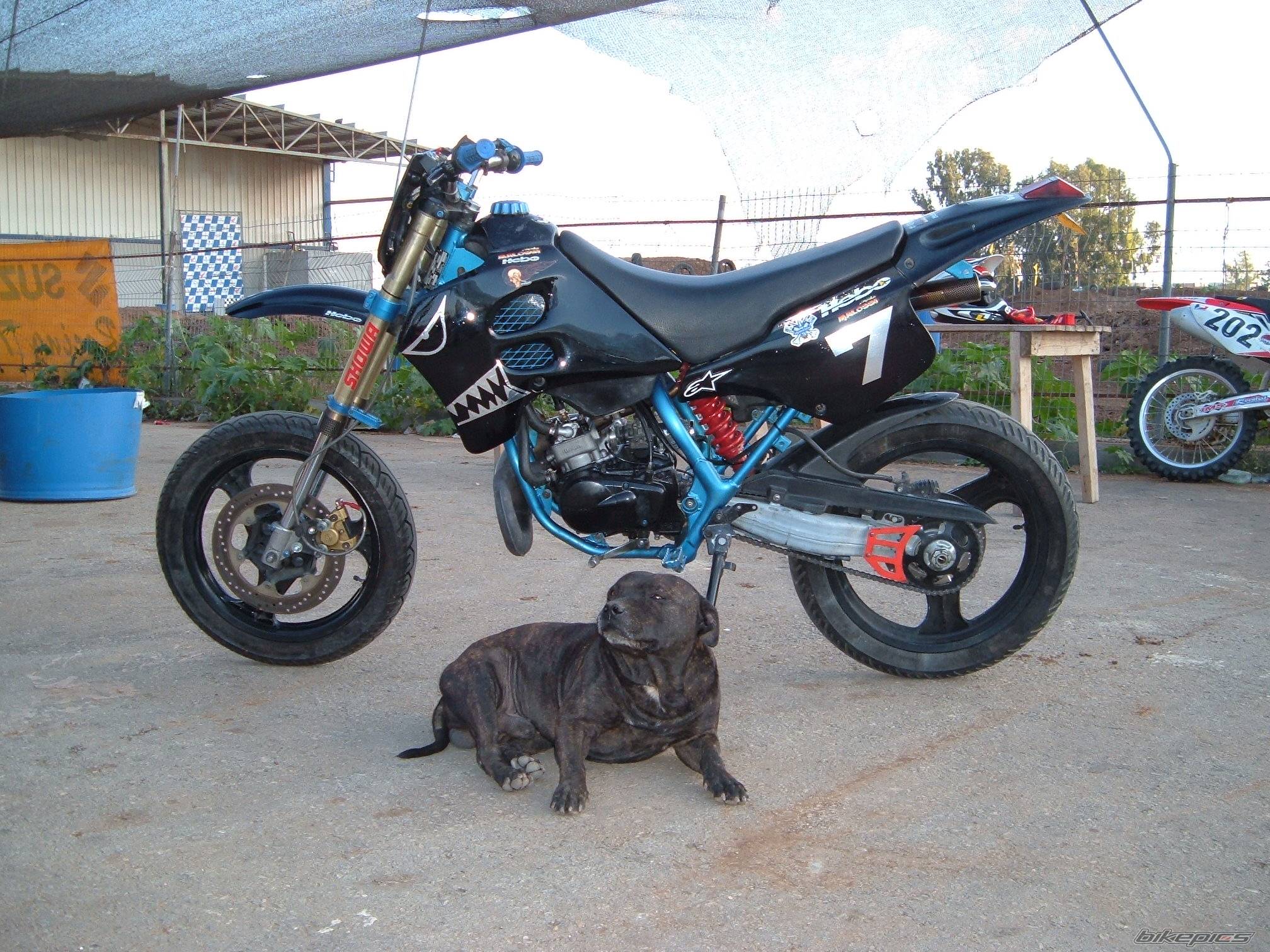 Bike Photo 450069