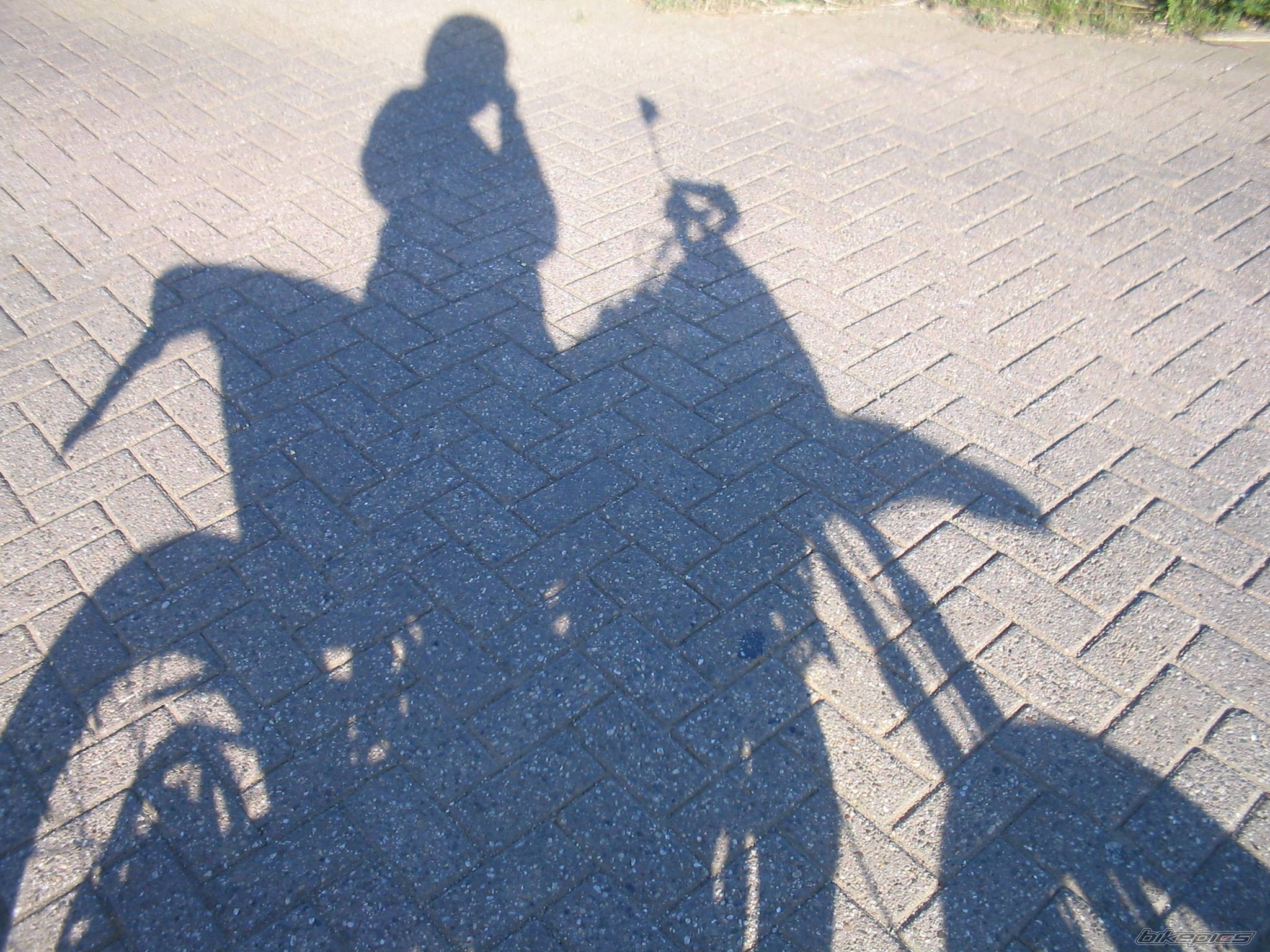 Photo 450099