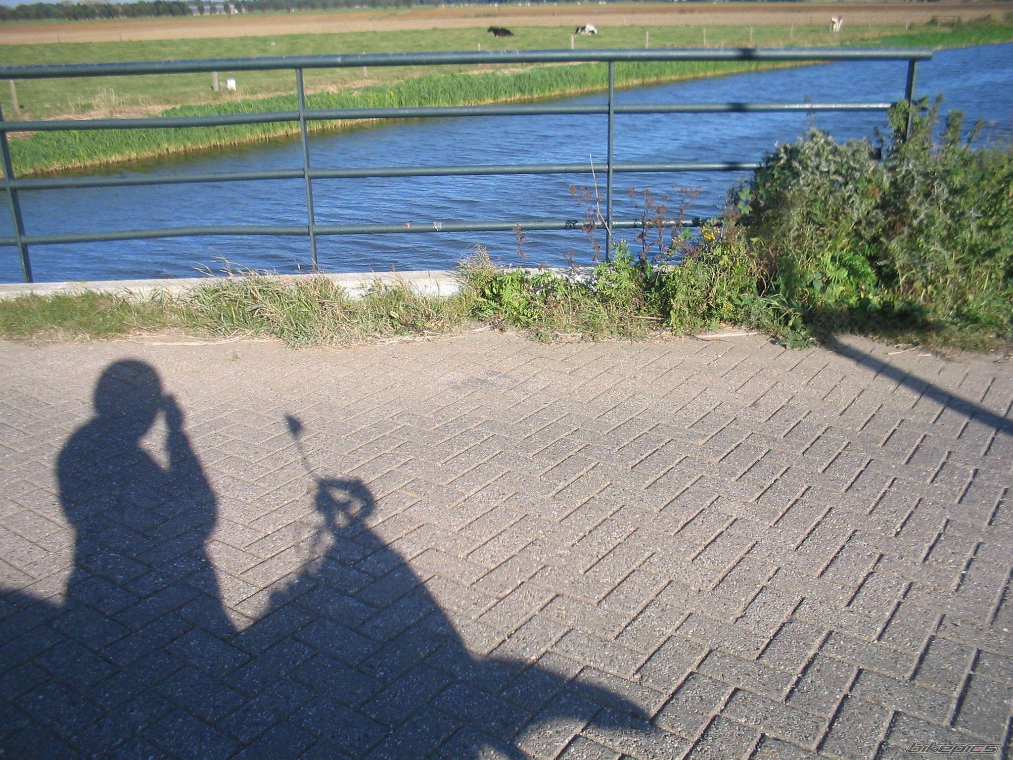 Photo 450100