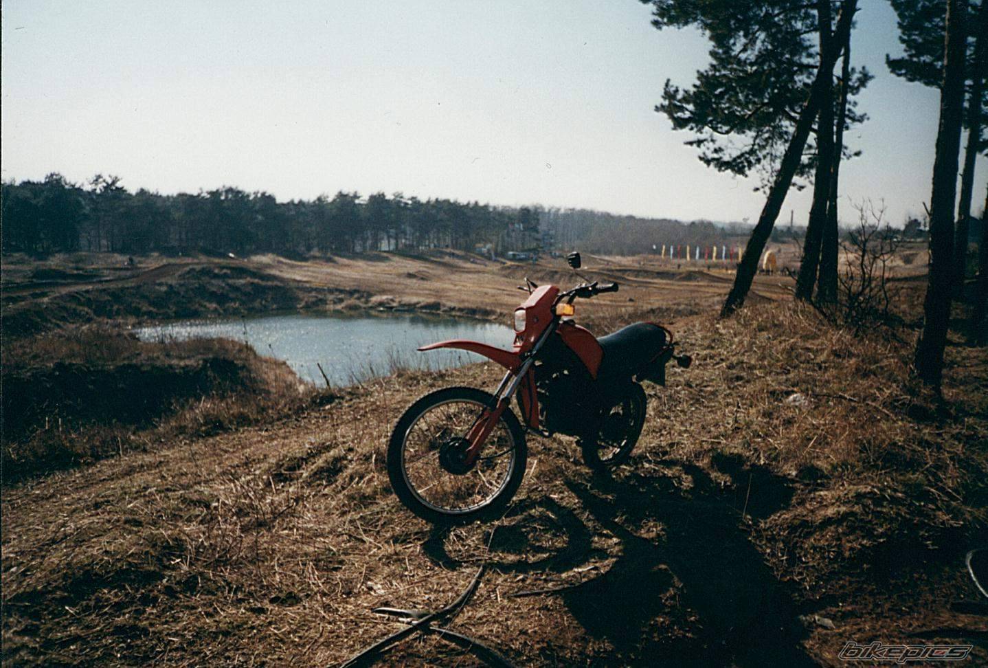 Bike Photo 450124