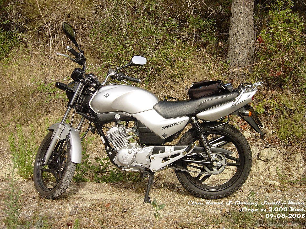 Bike Photo 450267