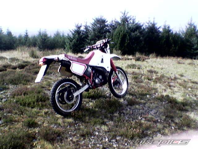Photo 450322
