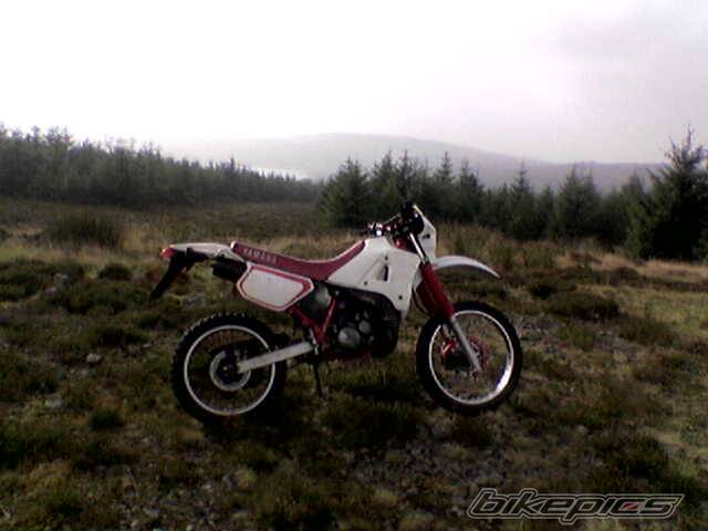 Photo 450323