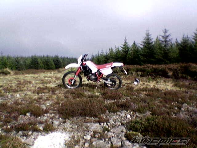 Photo 450324