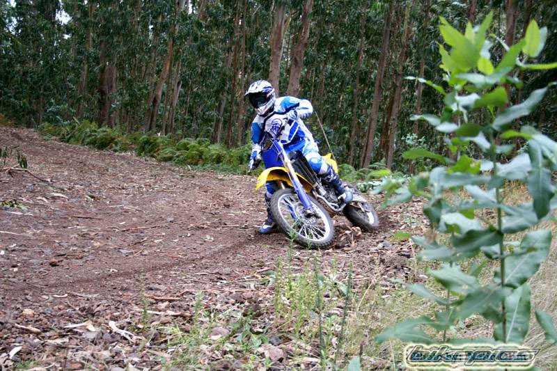 Photo 450377