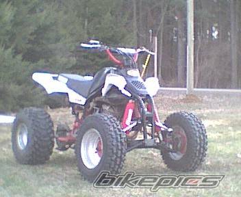 Photo 45038