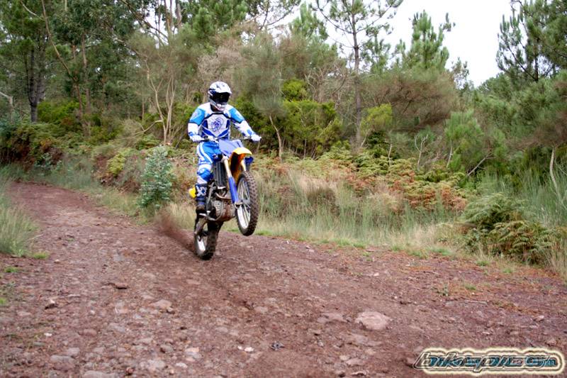 Photo 450384