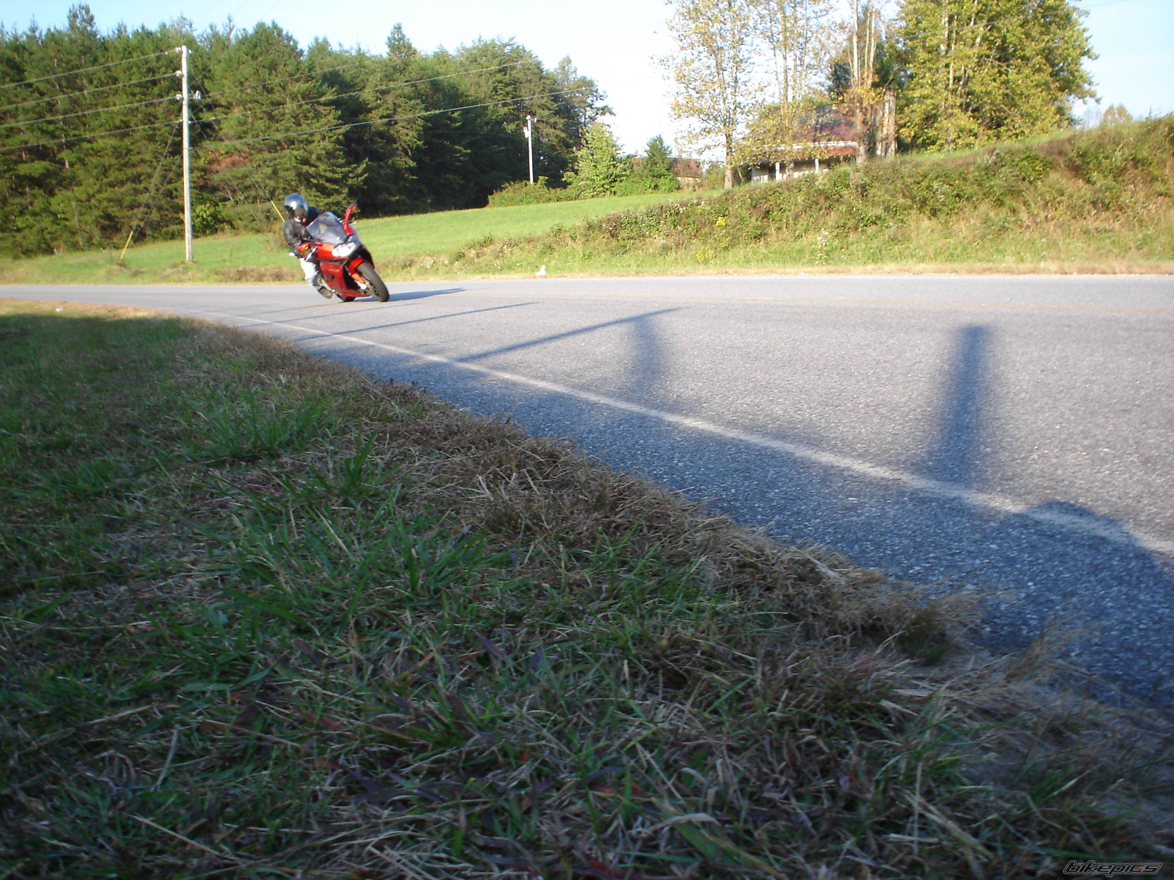 Photo 450409