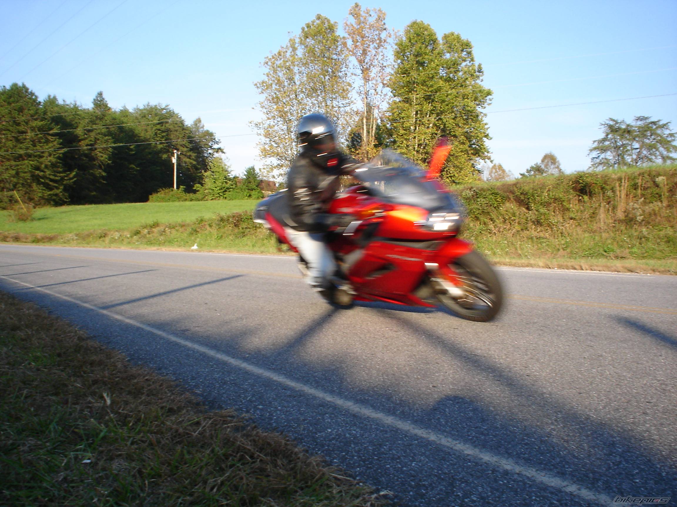 Photo 450410