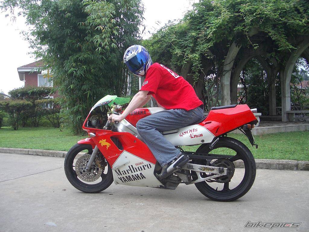 Bike Photo 450452