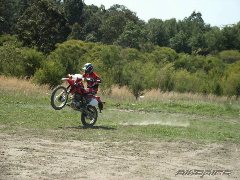 Photo 450485