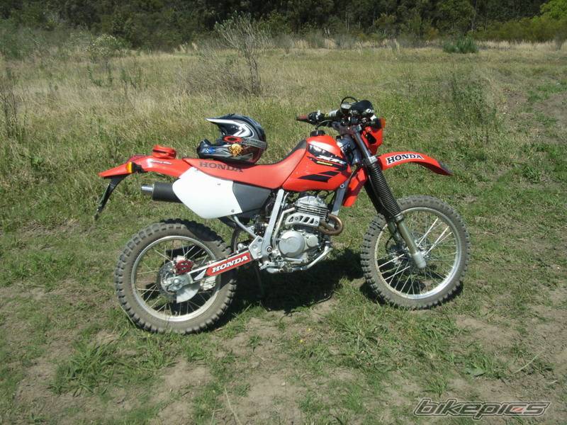 Photo 450486
