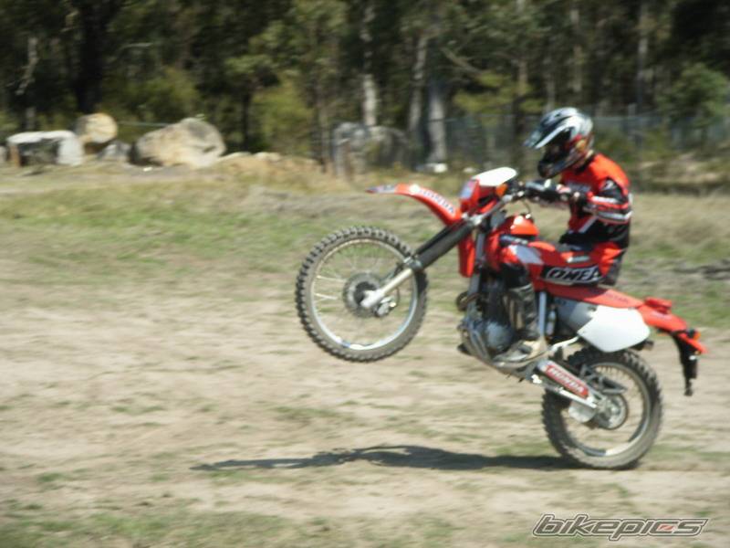Photo 450487