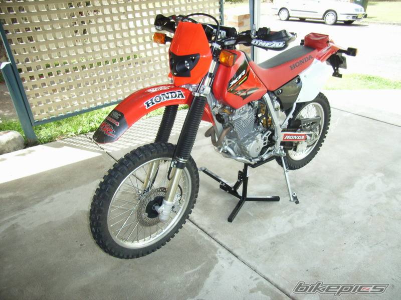 Photo 450489