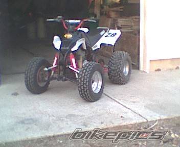Photo 45049
