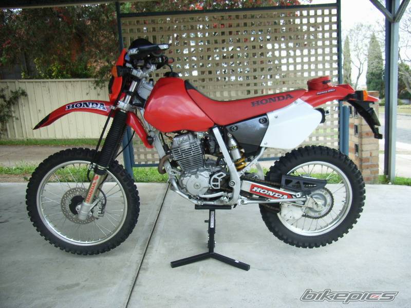 Photo 450491